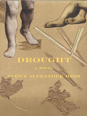 cover image of Drought